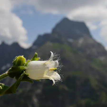 Boedmerhof Mittelberg Zimmer foto