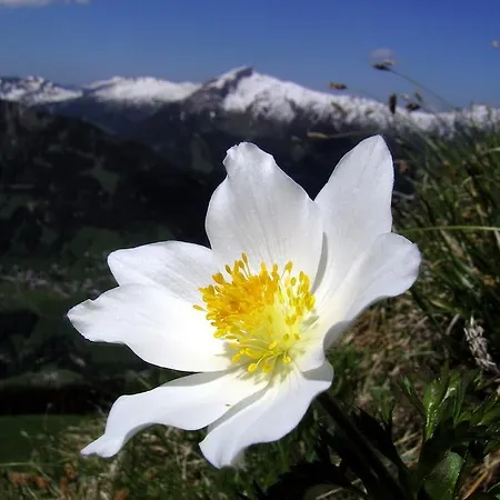 Boedmerhof Mittelberg Zimmer foto