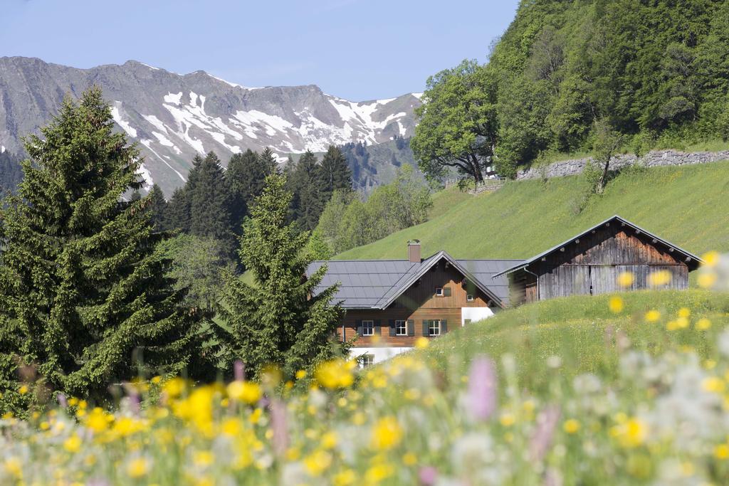 Boedmerhof Apartment